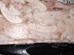 Ікра сайди см Норвегія, в Києві