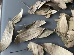 Індійський “лавровий лист" (Indian bay-leaf) 25 кг