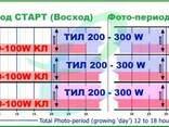 Индукционный светильник с фито лампой для растений ВСПт - фото 3