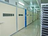 Инкубационные яйца бройлеров КОББ 500 с Европы и Украины - фото 2
