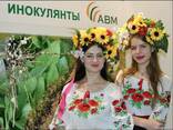 Инокулянт