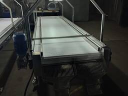 Інспекційний конвеєр і вібросито для ягід. Лінія для замороженої ягоди