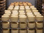 Інвестиції в сільське господарство та виробництво продуктів харчування - фото 2