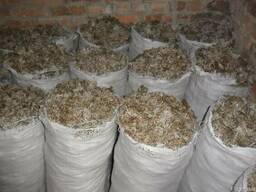 Исландский мох