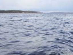 Изготовим право собственности на все водные объекты