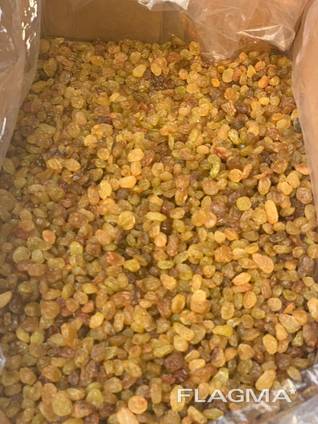 Ізюм Туреччина, Узбекистан, Індія А, В, С