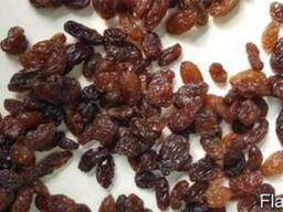 Изюм Иранский