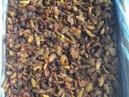 Родзинки Індія