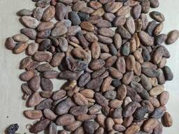 Какао бобы натуральные