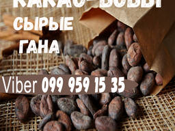 Какао БОБЫ Опт Розница