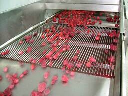 Калибратор малины, калибратор вишни, калибратор черешни,