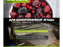 Калибратор вибросито для замороженной ягоды.