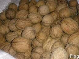 Калиброванный Грецкий Орех Готов на экспорт