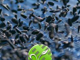 Калибровка подсолнечника