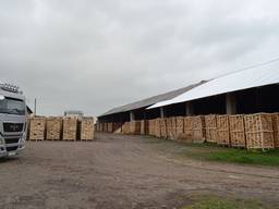 Kaminholz; дрова колоті