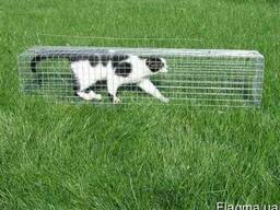 Кротоловка на крота и слепца. Недорогая кротоловка Крот