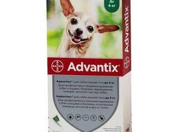 Капли Bayer Адвантикс Advantix от блох и клещей для собак весом до 4 кг 4 пипетки х 0,4. ..
