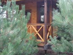 Каркасный дом, деревянный дом, сруб