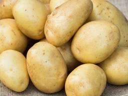 Картофель Лаперла 1 репродукция сетка 3кг.