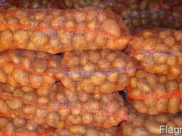 Картопля оптом на закладку