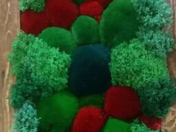 Кашпо, соти та картини зі стабілізованим мохом — Еко декор, що не потребує догляду!