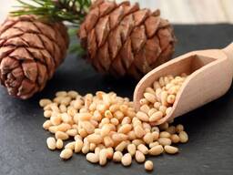 Кедровий горіх