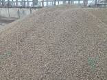 Керамзит. Одесский Керамзит. Доставка Керамзита. - фото 2