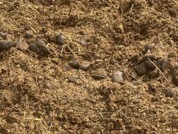 Харків терміновий розпродаж кінського гною