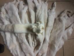 Хутро норки