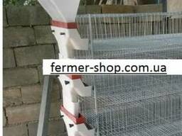 Клетка для перепела