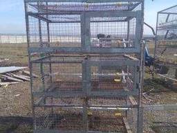 Клетки для с/х Птиц