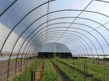 пленка для ремонта теплиц Agrolatka 15см х 50м х 100мкм - фото 1