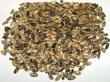 Клітковина (шрот) з конопель - фото 3