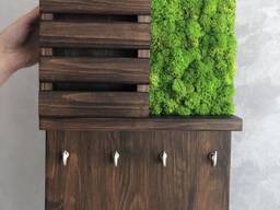 Ключница настенная 30*40 см цвет полисандр стабилизированый мох MiNature Moss