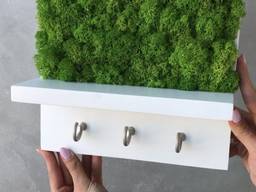 Ключница настенная MiNature Moss стабилизированый мох