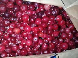 Клюква ш\з Канада