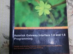 Книга Asterisk Gateway Interface 1.4 and 1.6 Programming