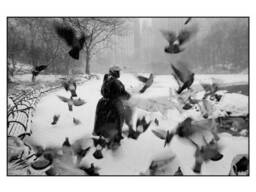 Книга альбом известных фотографов с фотографиями Брюса Дэвидсона Bruce Davidson. ..