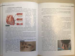 Книга «Натуропатическая медицина Гирудотерапия и физиология - фото 8