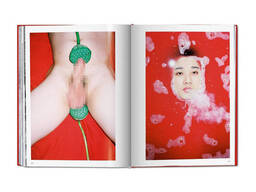 Альбомы известных фотографов книга с работами Рен Ханга "Ren Hang" Taschen книги про. ..