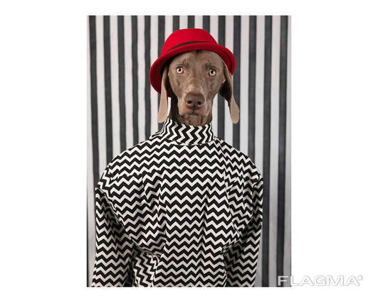 Альбомы известных фотографов книга работ Уильяма Вегмана William Wegman "Being Human". ..