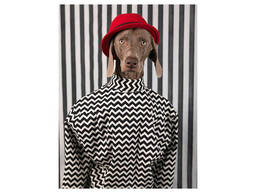 Альбомы известных фотографов книга работ Уильяма Вегмана William Wegman "Being Human". ..