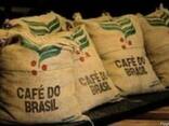 Кофе Арабика Бразилия Сантос, натуральный, зеленый (необжар - фото 1