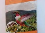 Кофе Коста рика costa rica tarrazu 100% arabica 500 грамм Испания Кава для готелів і домаш
