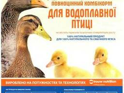 Комбікорм для гусеняк каченят ТМ Калинка віком від 0-21 днів