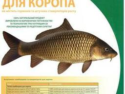 Комбікорм для коропа