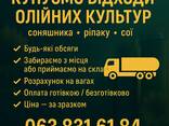 Компанія активно закуповує відходи олійних культур, таких як соняшник, ріпак і соя. - фото 1