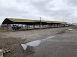 Комплекс складских помещений. Склады. Зернохранилище. ток - фото 2