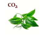 Комплекс СО2 экстрактов Регенерирующий