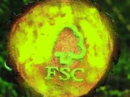 Консультації по FSC сертифікації деревообробних підприємств